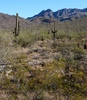 photo thumbnail #1