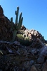 photo thumbnail #5