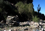 photo thumbnail #6