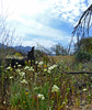 photo thumbnail #7