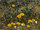 photo thumbnail #13