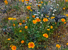 photo thumbnail #15