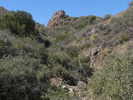 photo thumbnail #12