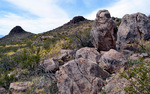 photo thumbnail #6