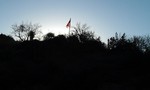 photo thumbnail #2