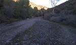 photo thumbnail #3