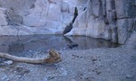 photo thumbnail #4