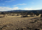 photo thumbnail #4