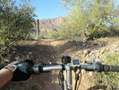 photo thumbnail #1