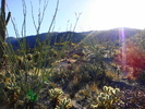 photo thumbnail #1