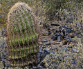 photo thumbnail #2