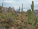 photo thumbnail #7