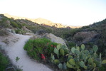 photo thumbnail #1