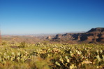 photo thumbnail #6