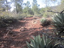 photo thumbnail #5
