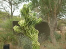 photo thumbnail #4