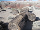 photo thumbnail #10