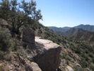 photo thumbnail #4