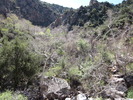 photo thumbnail #14