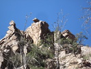 photo thumbnail #15