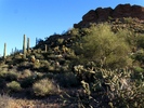 photo thumbnail #2