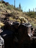 photo thumbnail #6