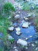 photo thumbnail #11