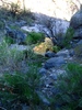 photo thumbnail #12