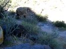photo thumbnail #13