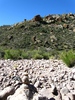 photo thumbnail #14