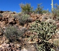 photo thumbnail #15