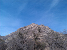 photo thumbnail #1