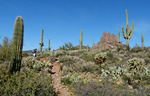 photo thumbnail #3