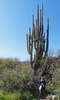 photo thumbnail #13