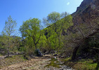 photo thumbnail #15