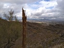 photo thumbnail #1