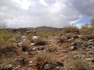 photo thumbnail #4