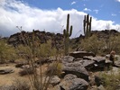 photo thumbnail #6