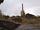 photo thumbnail #8