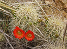 photo thumbnail #4