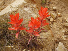 photo thumbnail #12