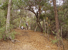 photo thumbnail #11