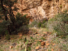 photo thumbnail #9