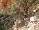photo thumbnail #13