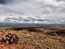 photo thumbnail #1