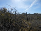 photo thumbnail #5