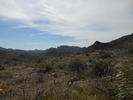 photo thumbnail #11