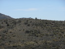 photo thumbnail #12