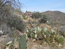 photo thumbnail #13