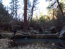 photo thumbnail #9